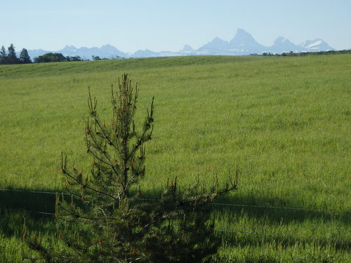 GDMBR: The Tetons were visible.